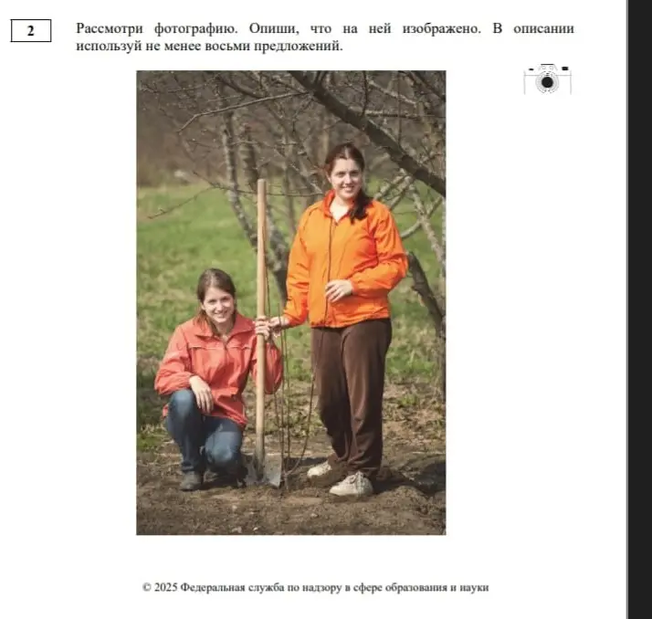 Опиши, что изображено на фотографии, используя не менее восьми предложений.