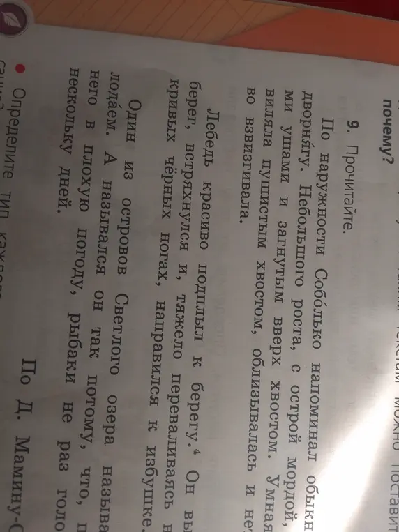 Определи тип каждого предложения.