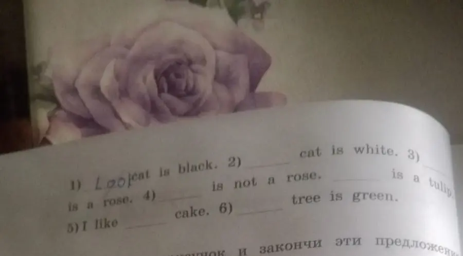 Составь предложения, вставив пропущенные слова в английском языке, начиная с задания '1) Laojeat is black.'
