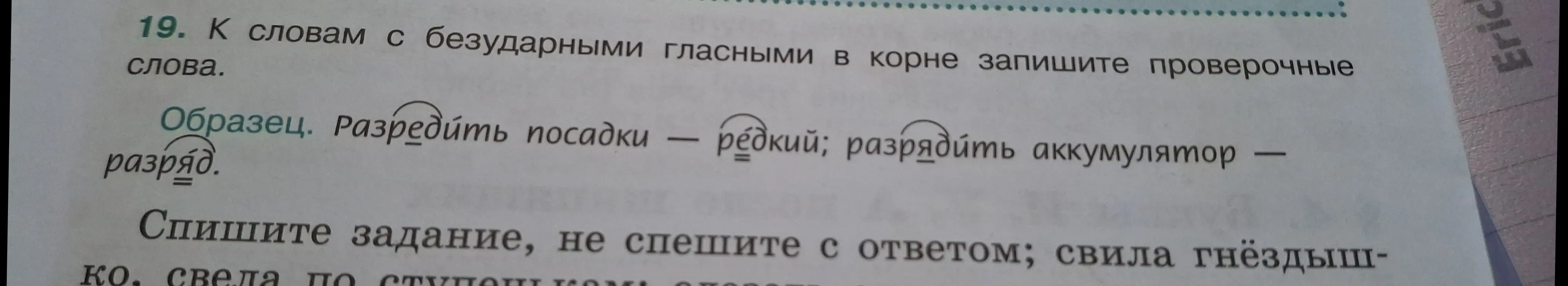 Подбери проверочные слова к словам "свила гнёздышко, свела по ступенькам"