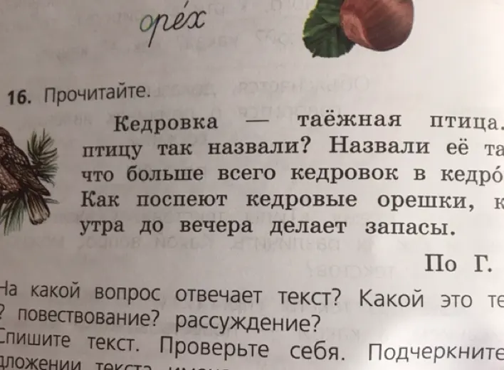 Ответь, на какой вопрос отвечает текст про кедровку и какой это тип текста.