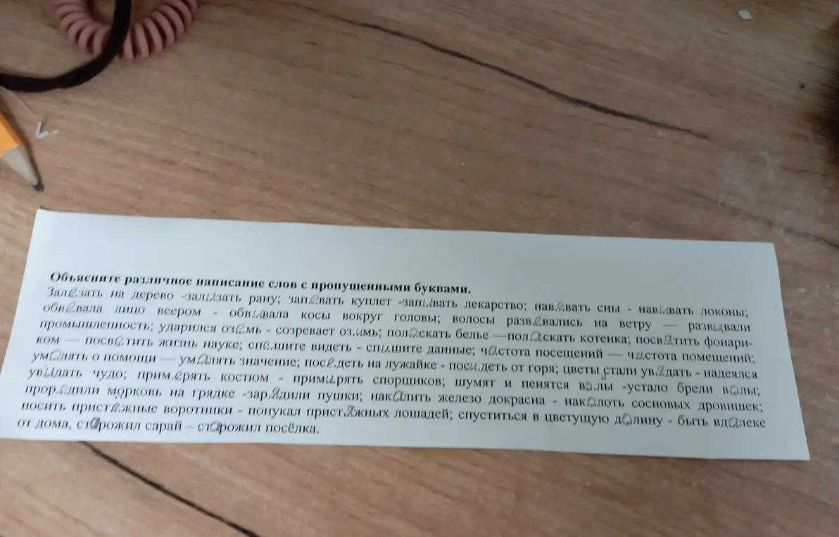 Объясни, в чём различие в написании слов с пропущенными буквами: залезать на дерево - зализать рану.