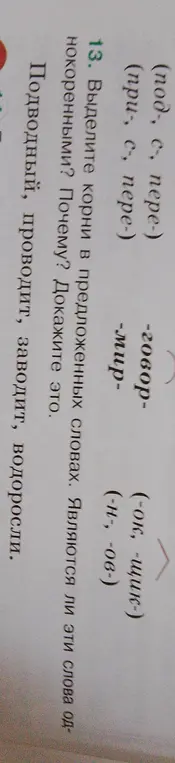 Объясни, как выделить корни в словах "подводный", "проводит", "заводит", "водоросли" и являются ли эти слова однокоренными
