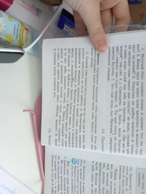 Подчеркни однородные члены предложения и укажи слово, имеющее омоним в упражнении про диктант