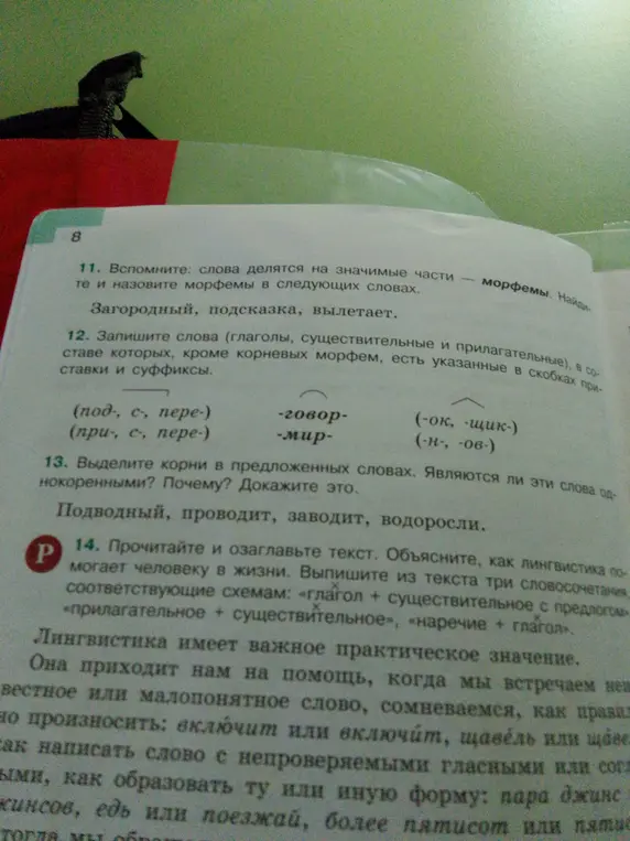 Выполни морфемный разбор слов 'Загородный, подсказка, вылетает'