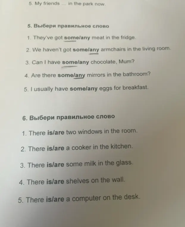 Выполни упражнение: выбери правильное слово в предложениях с some/any и is/are