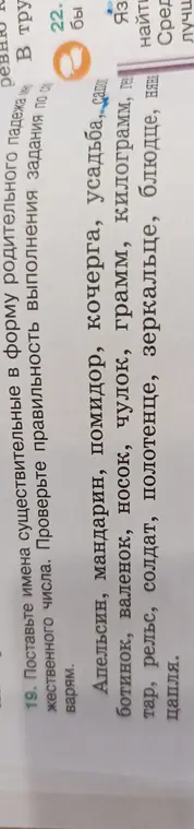 Ты просишь поставить имена существительные в форму родительного падежа множественного числа в задании 19