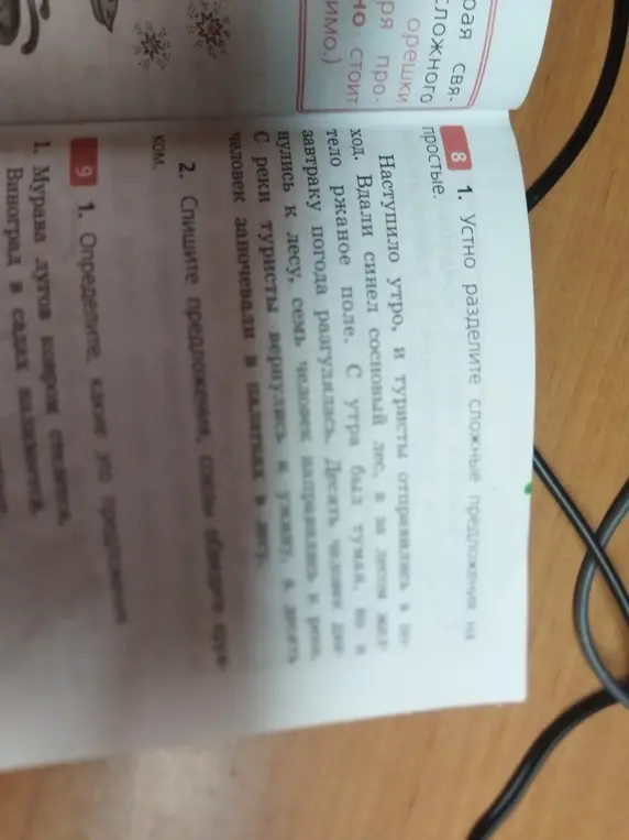 Определи, какие это предложения в упражнении 9 под номером 1