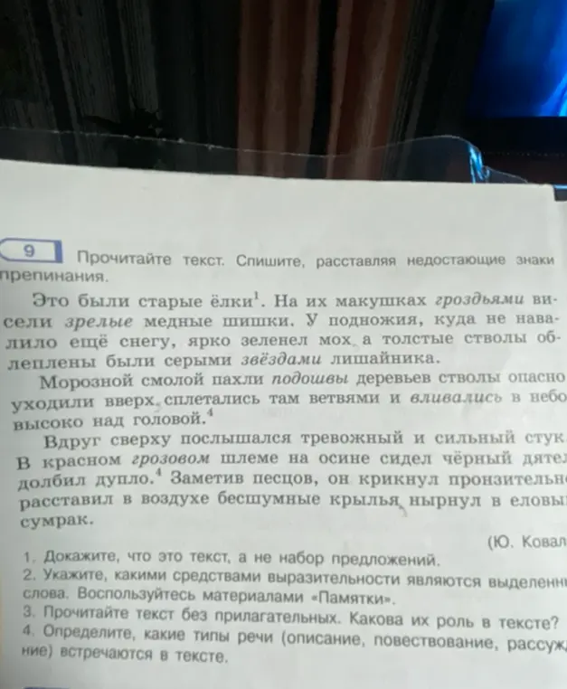 Ты просишь прочитать текст, расставить знаки препинания и ответить на вопросы: как доказать, что это текст, какими средствами выразительности являются выделенные слова, какова роль прилагательных и какие типы речи встречаются в тексте.