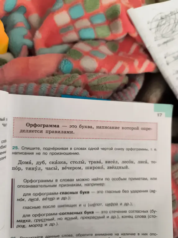 Выполни задание: спиши, подчёркивая в словах одной чертой снизу орфограммы, т. е. написания не по произношению