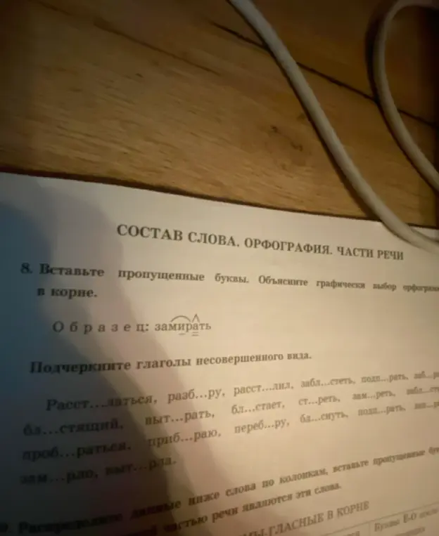 Помоги мне вставить пропущенные буквы и подчеркнуть глаголы несовершенного вида в упражнении 8
