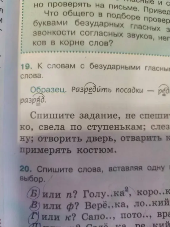 В каком месте нужно вставить пропущенные буквы в слова: Голу..ка, коро..кий и т.д.?