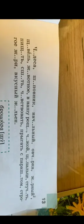 Ты просишь меня вставить пропущенные буквы в словах: Ч..деса, ш..повник, нач..льный, овч..рка, ж.рный²