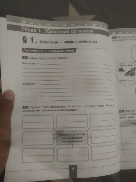 Ты просишь дать определения понятий зоология и бионика и заполнить схему «Разделы зоологии по предметам исследования».