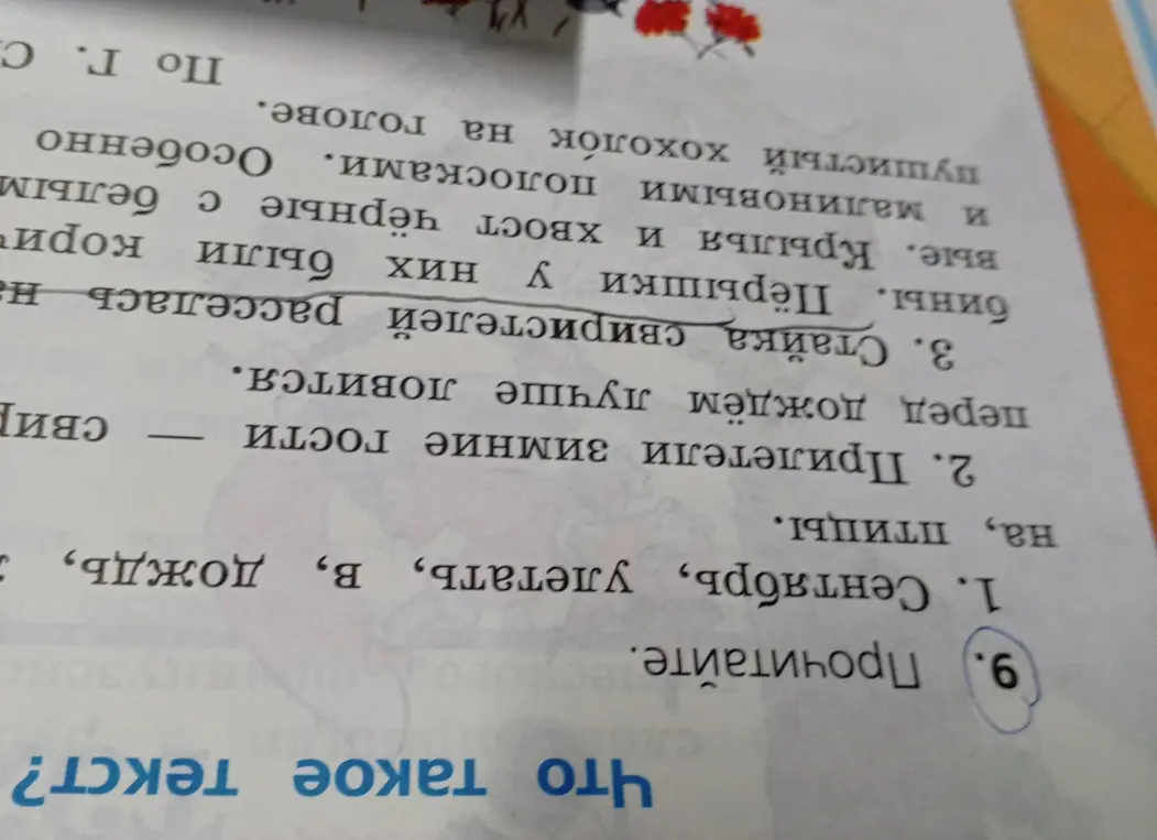 Прочитай текст
