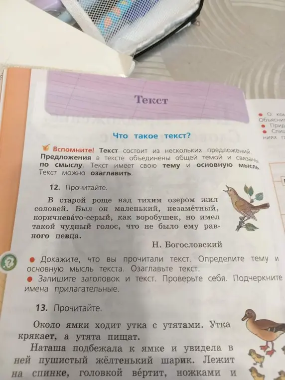 Докажи, что ты прочитал текст. Определи тему и основную мысль текста. Озаглавь текст.