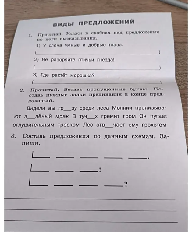 Выполни упражнение: укажи в скобках вид предложения по цели высказывания в предложении 'У слона умные и добрые глаза'.