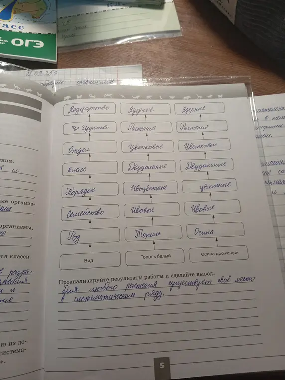 Проанализируй результаты работы и сделай вывод.
