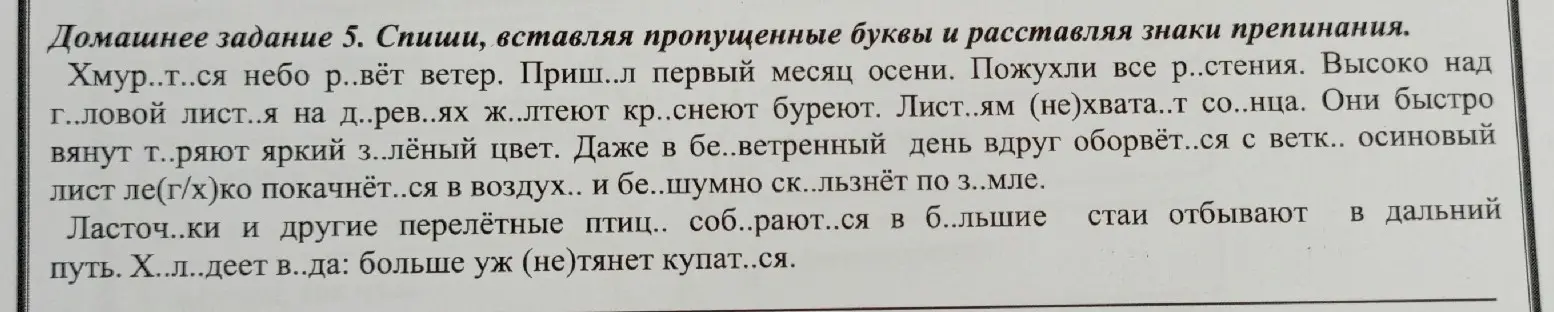 Ты просишь списать текст, вставляя пропущенные буквы и расставляя знаки препинания