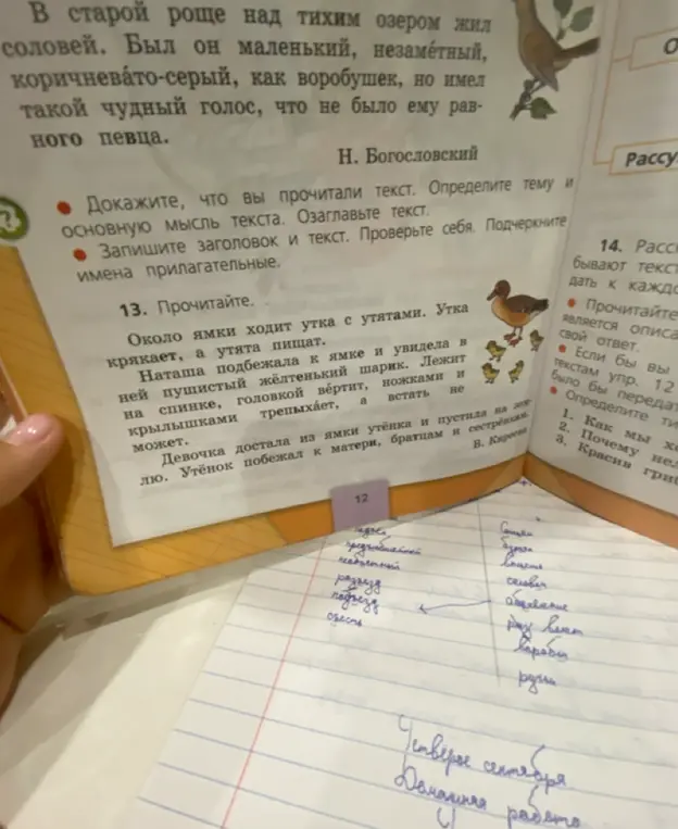 Прочитай текст «Около ямки ходит утка с утятами» и перескажи его.