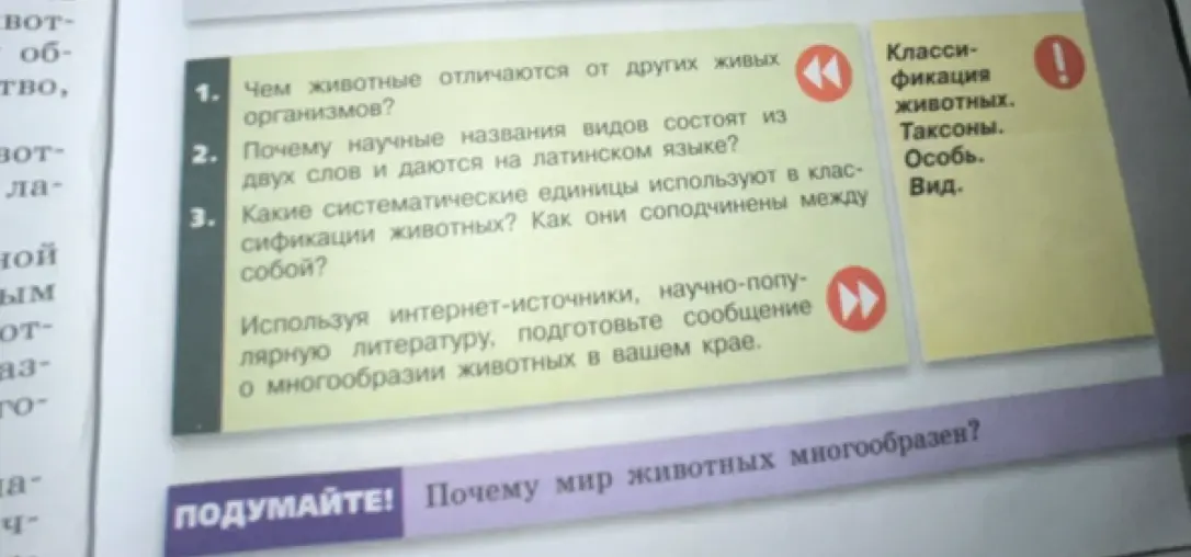 Чем животные отличаются от других живых организмов?