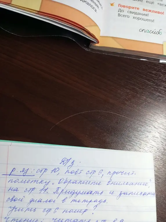 Объясни домашнее задание: страница 10, повторить страницу 6, прочитать пометки