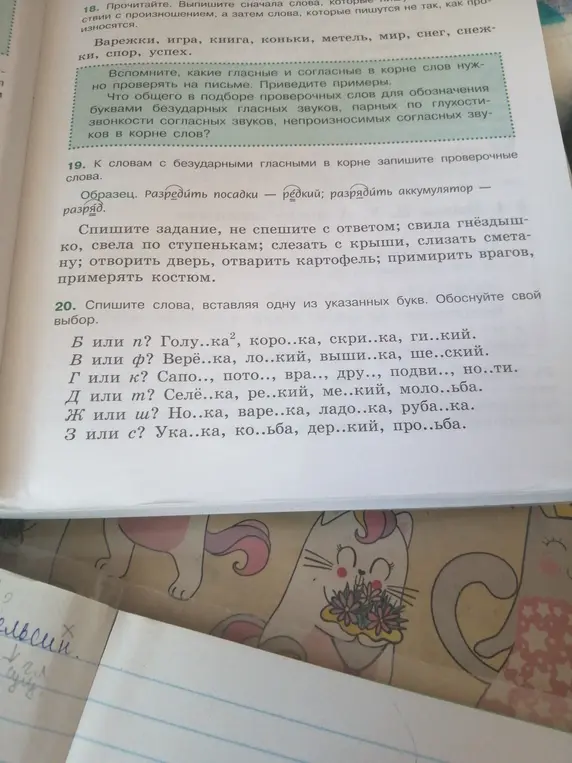 Выполни, пожалуйста, 19 и 20 задания: к словам с безударными гласными в корне запиши проверочные слова и спиши слова, вставляя одну из указанных букв