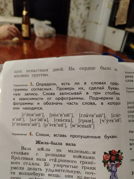 Предлагаешь вставить пропущенные буквы в тексте из упражнения 4
