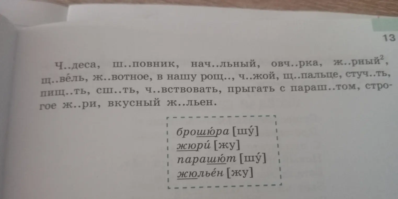 Заполни пропуски в словах: Ч..деса, ш..повник, нач..льный, овч..рка, ж.рный...