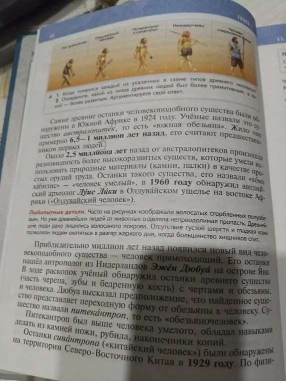 Когда появился каждый из указанных в схеме типов древнего человека?