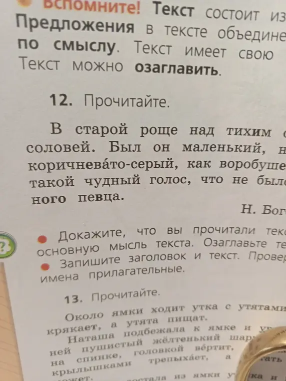 Выполни упражнение: запиши заголовок и текст, проверь имена прилагательные