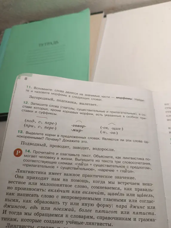 Объясни, как слова делятся на значимые части – морфемы в словах 'Загородный, подсказка, вылетает'.