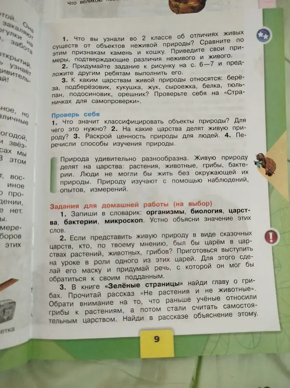 Что ты узнал во 2 классе об отличиях живых существ от объектов неживой природы?