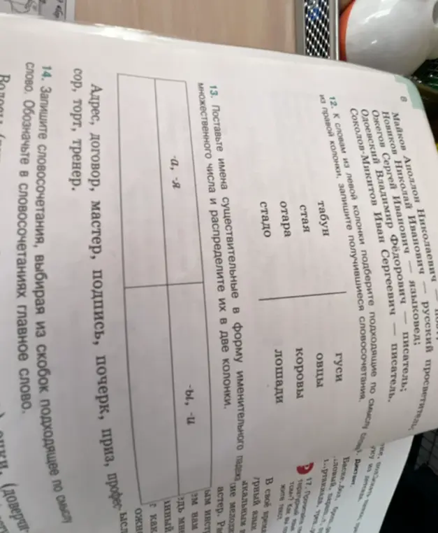 Поставь имена существительные во множественном числе и распредели их в две колонки