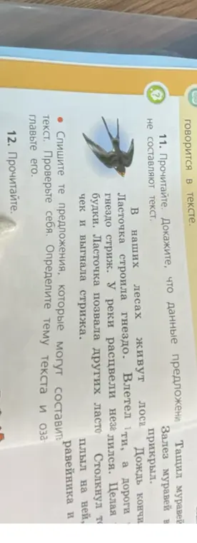 Спиши те предложения, которые могут составить текст.