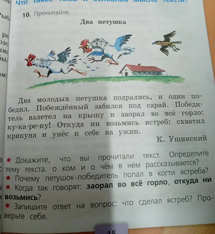 Докажи, что ты прочитал текст. Определи тему текста: о ком и о чём в нём рассказывается?