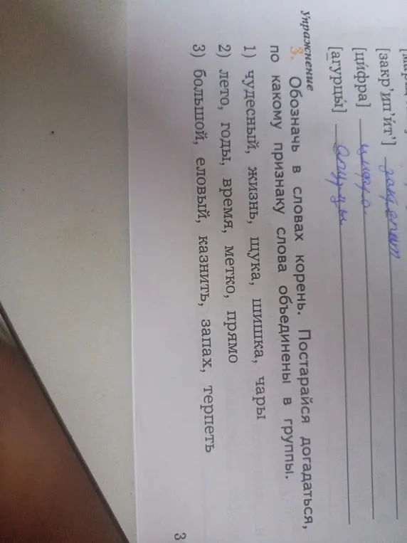 Помоги мне обозначить в словах корень и определить, по какому признаку слова объединены в группы в упражнении 3