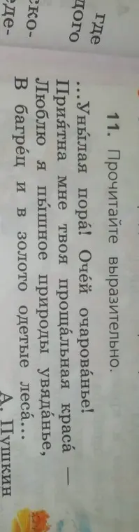 Прочитай выразительно стихотворение