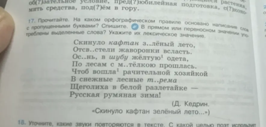 На каком орфографическом правиле основано написание слов с пропущенными буквами в стихотворении «Скинуло кафтан зелёный лето»?