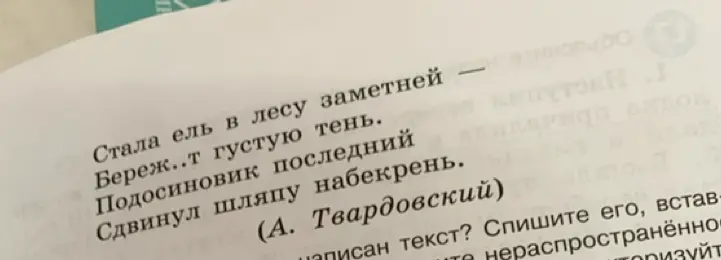 Как правильно написать текст из изображения?