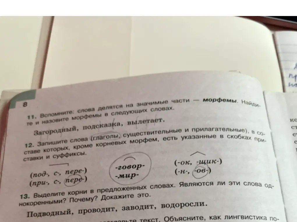 Объясни, как найти и назвать морфемы в словах: загородный, подсказка, вылетает.