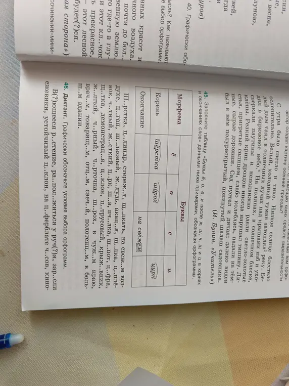 Можешь ли ты помочь мне заполнить таблицу «Буквы ё, о, е, и после ж, ш, ч, щ и ц в корнях и окончаниях слов» данными ниже примерами, обозначая орфограммы; графически обозначить условия выбора орфограмм в диктанте?