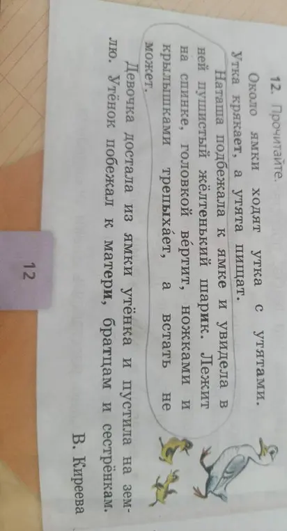 Ты прочитал текст?
