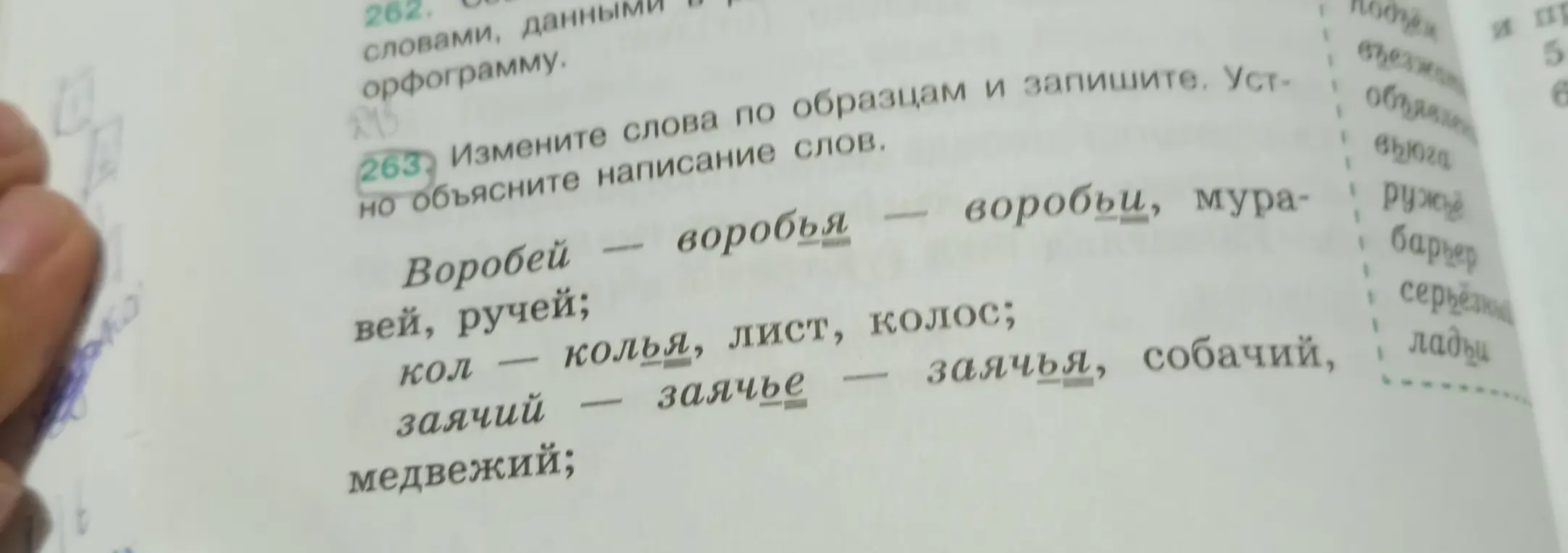 Измени слова по образцам и запиши из упражнения 263