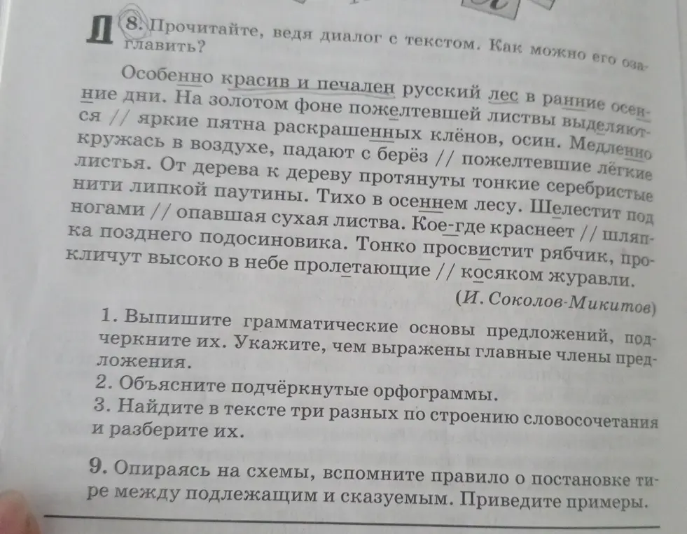 Выпиши грамматические основы предложений, подчеркни их. Укажи, чем выражены главные члены предложения.