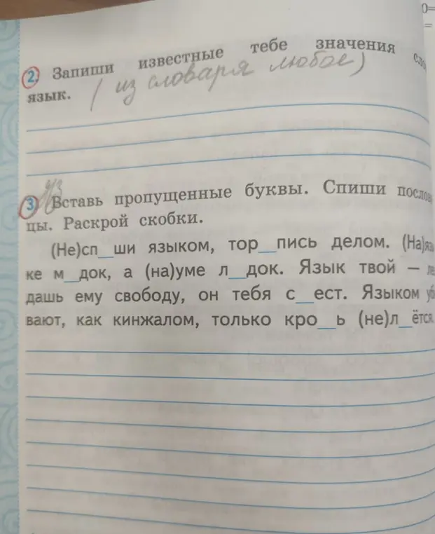 Помоги вставить пропущенные буквы и раскрыть скобки в пословицах.