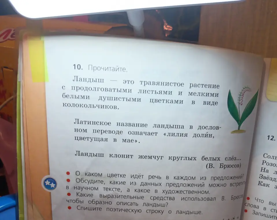 Помоги ответить на вопросы к тексту про ландыш
