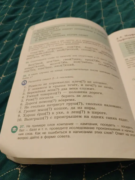 Как не ошибиться в написании слов «компания», «кампания», «поседеть», «посидеть», «балл» и «бал»?
