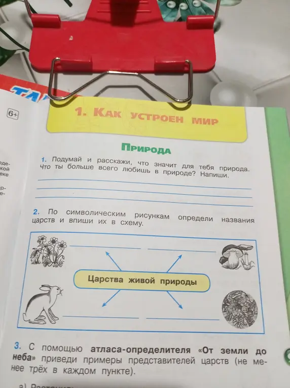 Предложи названия царств по символическим рисункам и впиши их в схему