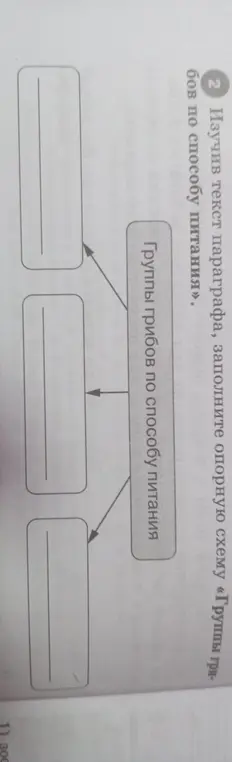 Можешь ли ты заполнить опорную схему «Группы грибов по способу питания»?